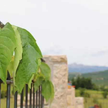 Holiday home Stone House Skrivena *